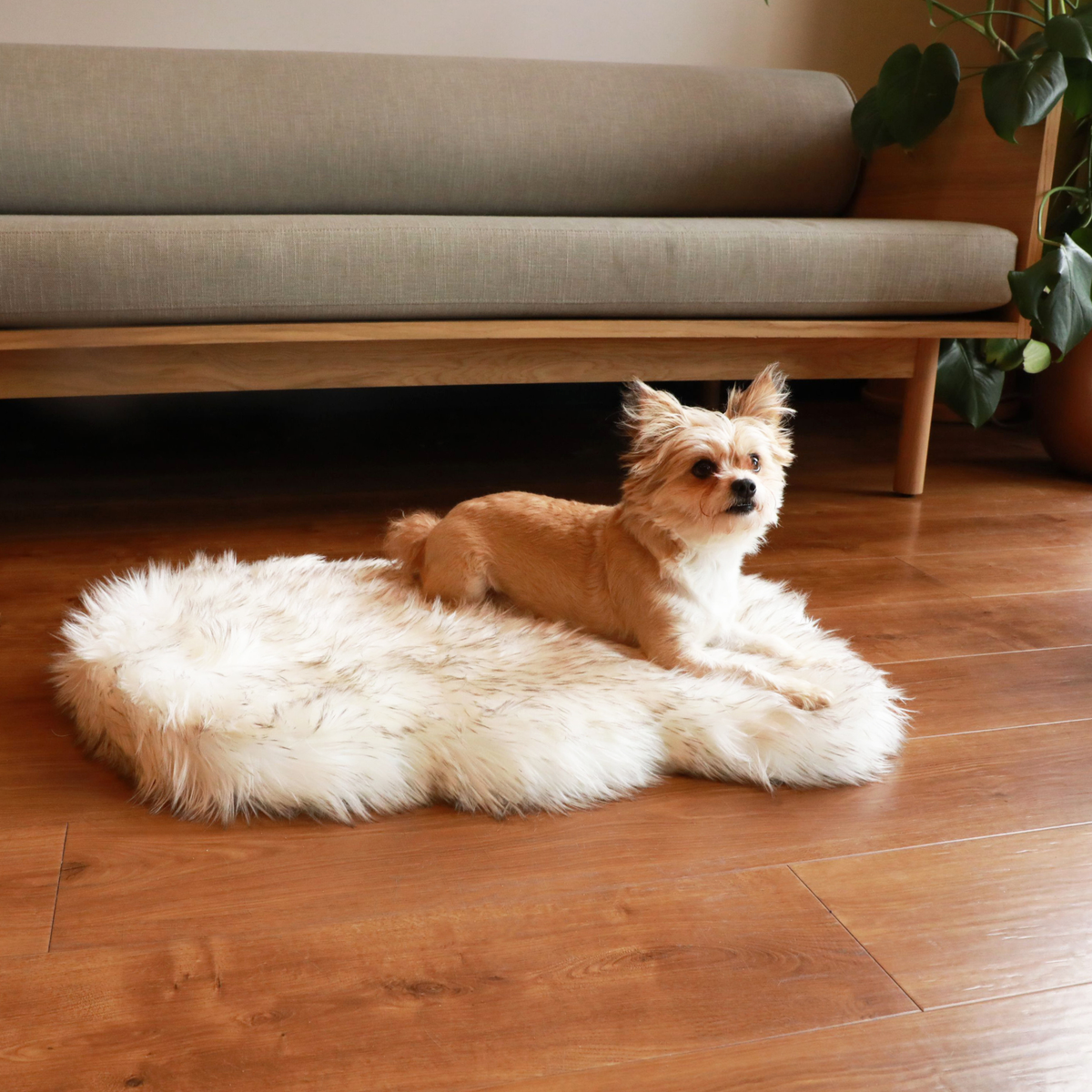 PupRug® Faux Fur Orthopedic Dog Bed | Curve White with Brown Accents