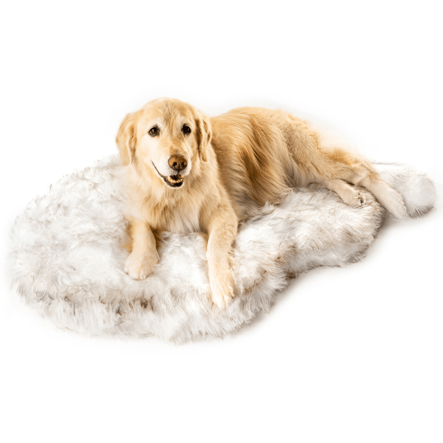 PupRug® Faux Fur Orthopedic Dog Bed | Curve White with Brown Accents