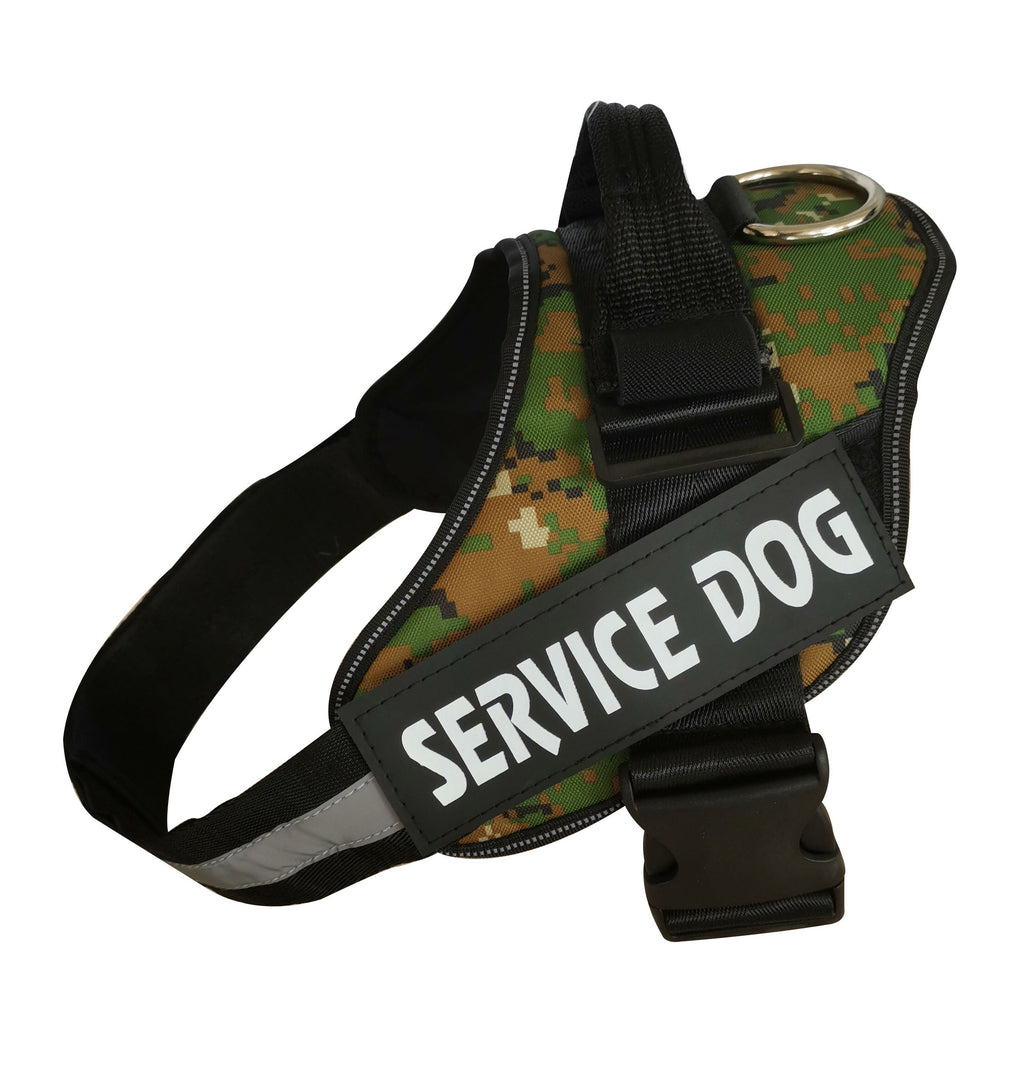 The Custom Reflective Harness