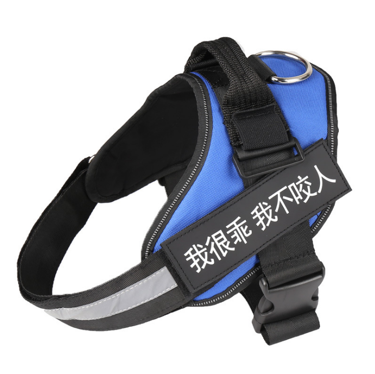 The Custom Reflective Harness