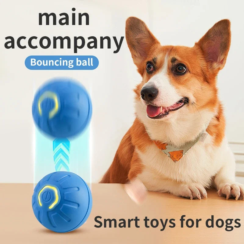 Smart Interactive Pet Toy Ball | Electronic Auto-Rolling & Jumping Ball | USB Rechargeable | Dogs & Cats