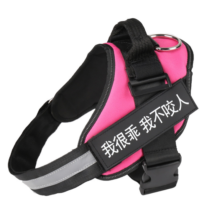 The Custom Reflective Harness