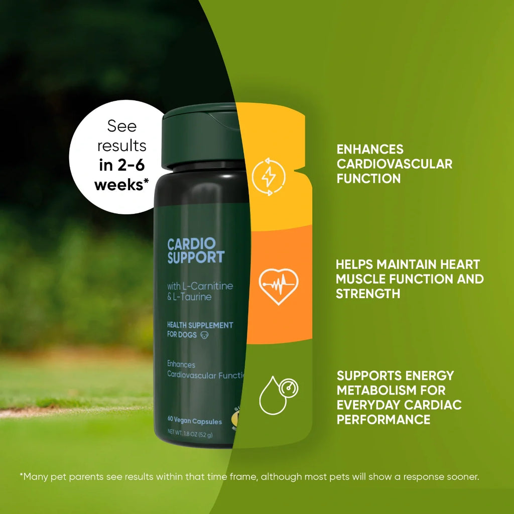 The Cardio Wellness Supplement
