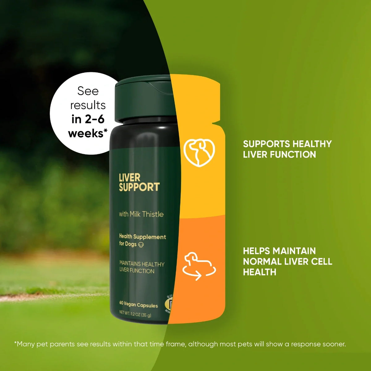 The Liver Wellness Supplement
