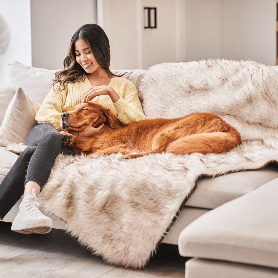 PupProtector™ Waterproof Throw Blanket | White with Brown Accents