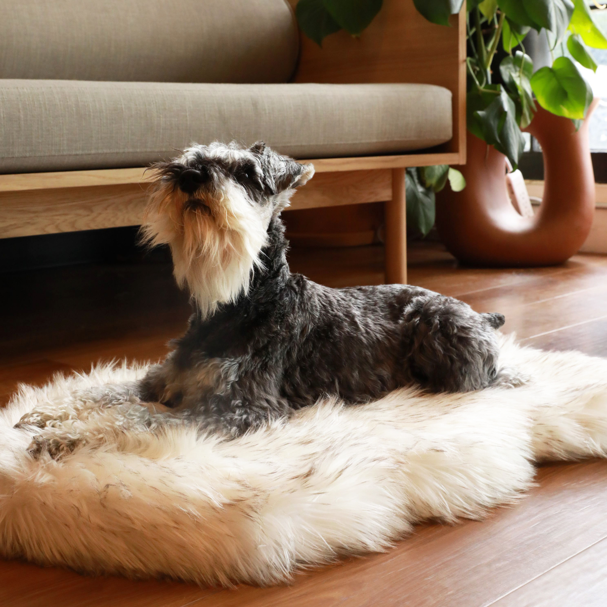 PupRug® Faux Fur Orthopedic Dog Bed | Curve White with Brown Accents