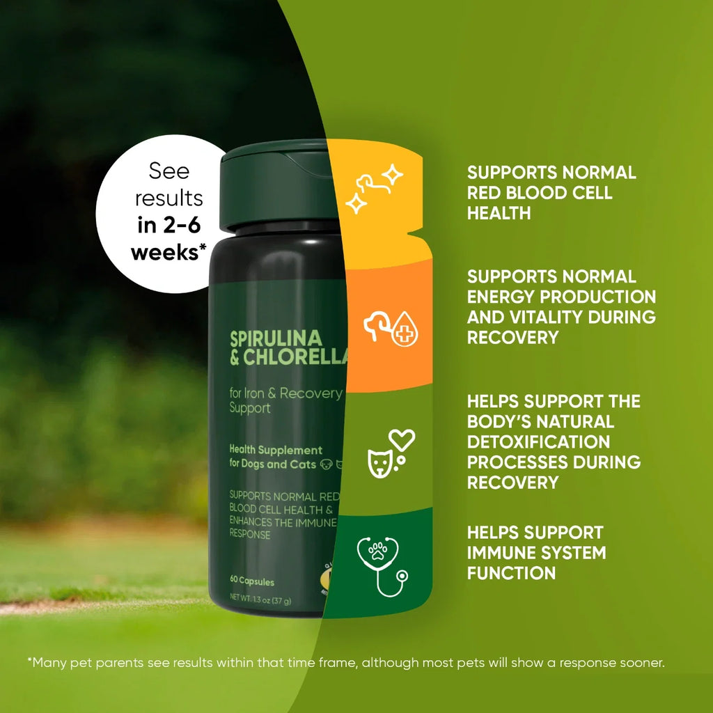 The Spirulina & Chlorella Blend