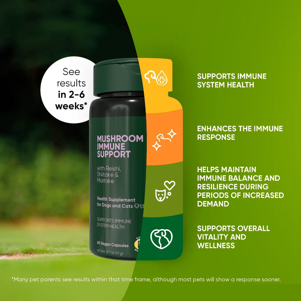 The Mushroom Immunity Blend