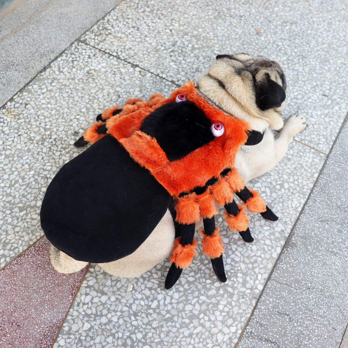 Spider Pet Halloween Costume | Dog & Cat Costume | Sizes S–XL