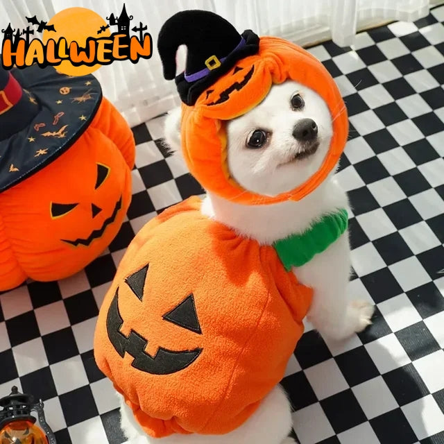 The Harvest Pumpkin Costume Vest