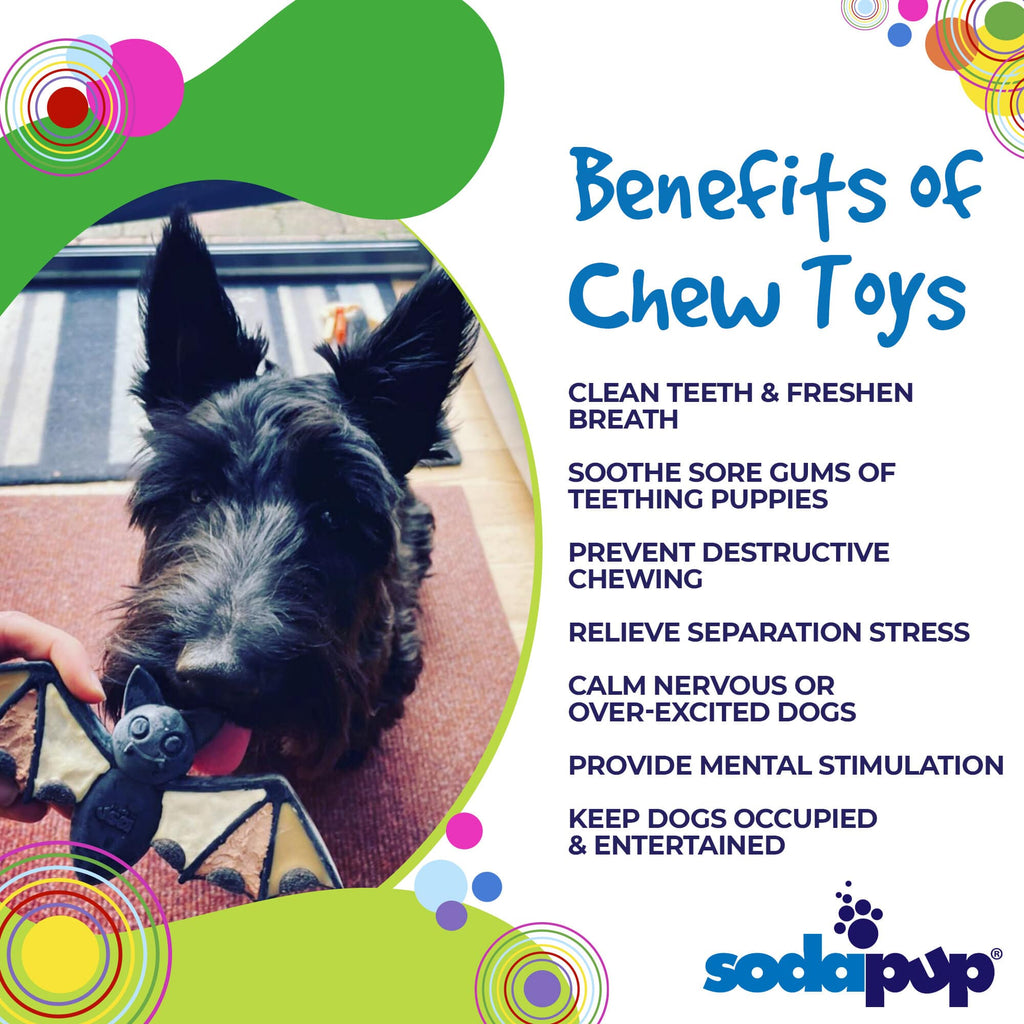 SodaPup Vampire Bat eChew | Nylon Chew Toy & Lick Mat for Dogs