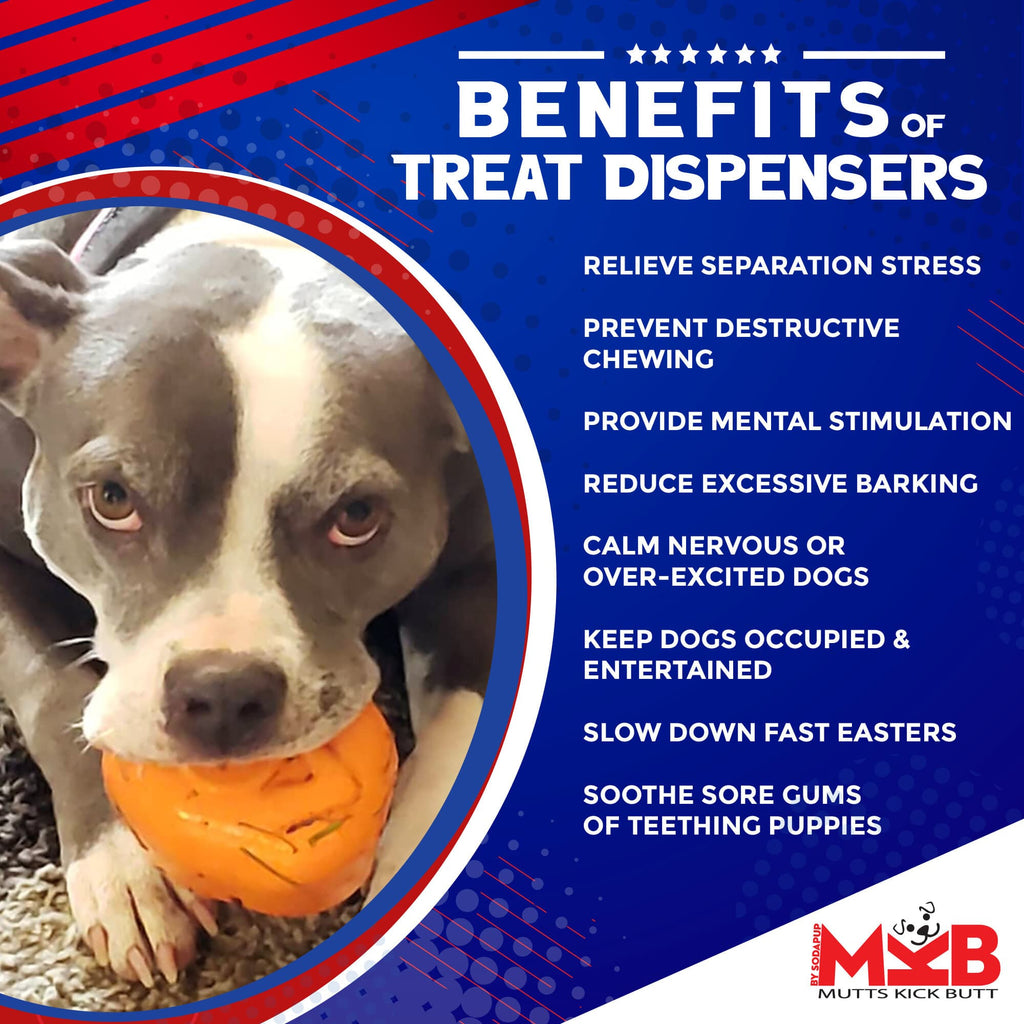 Roasted Turkey Dog Chew Toy & Treat Dispenser | SodaPup | USA Made