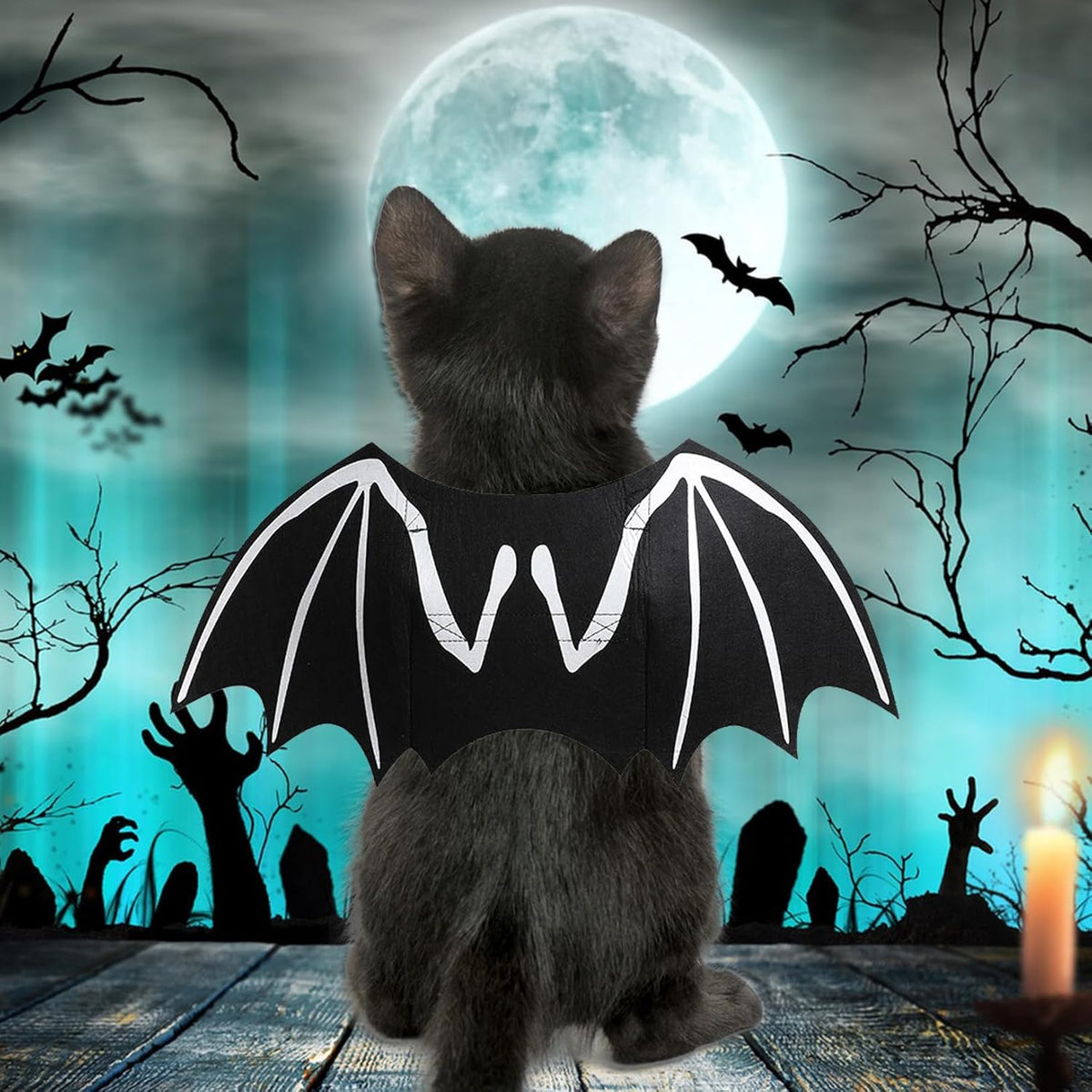 Luminous Bat Wing Halloween Costume for Dogs & Cats