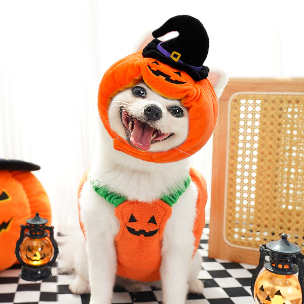The Harvest Pumpkin Costume Vest