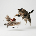 Flauntly Paws Flapping Bird Interactive Cat Toy