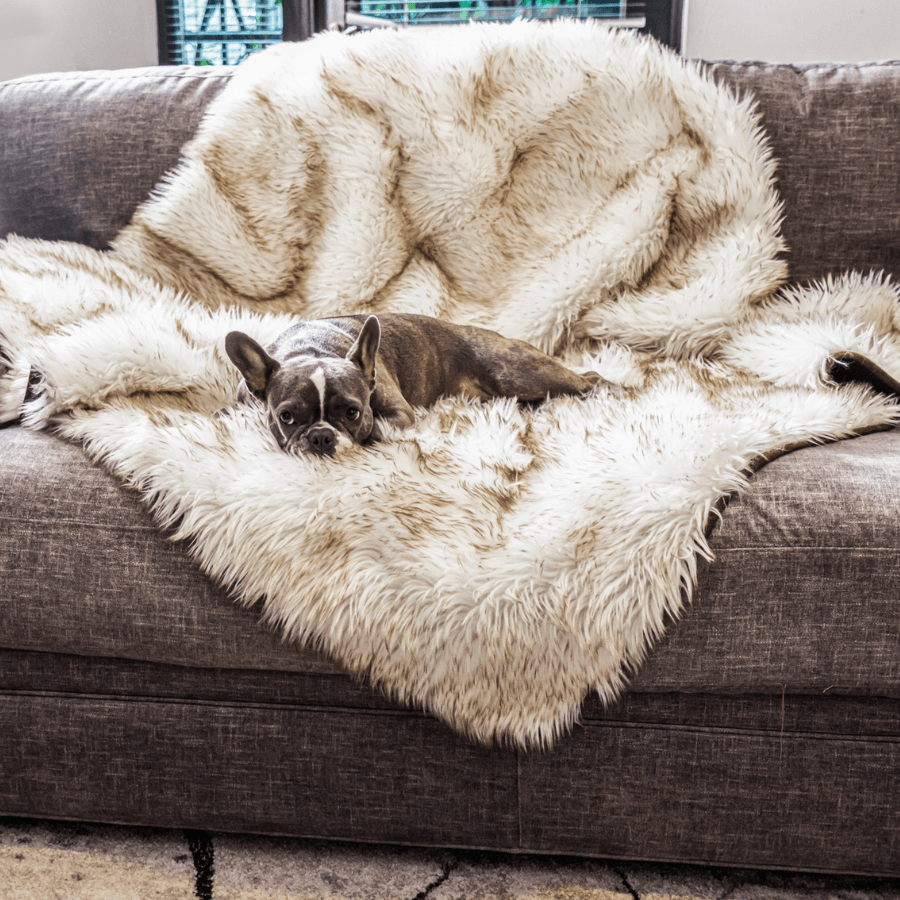 PupProtector™ Waterproof Throw Blanket | White with Brown Accents