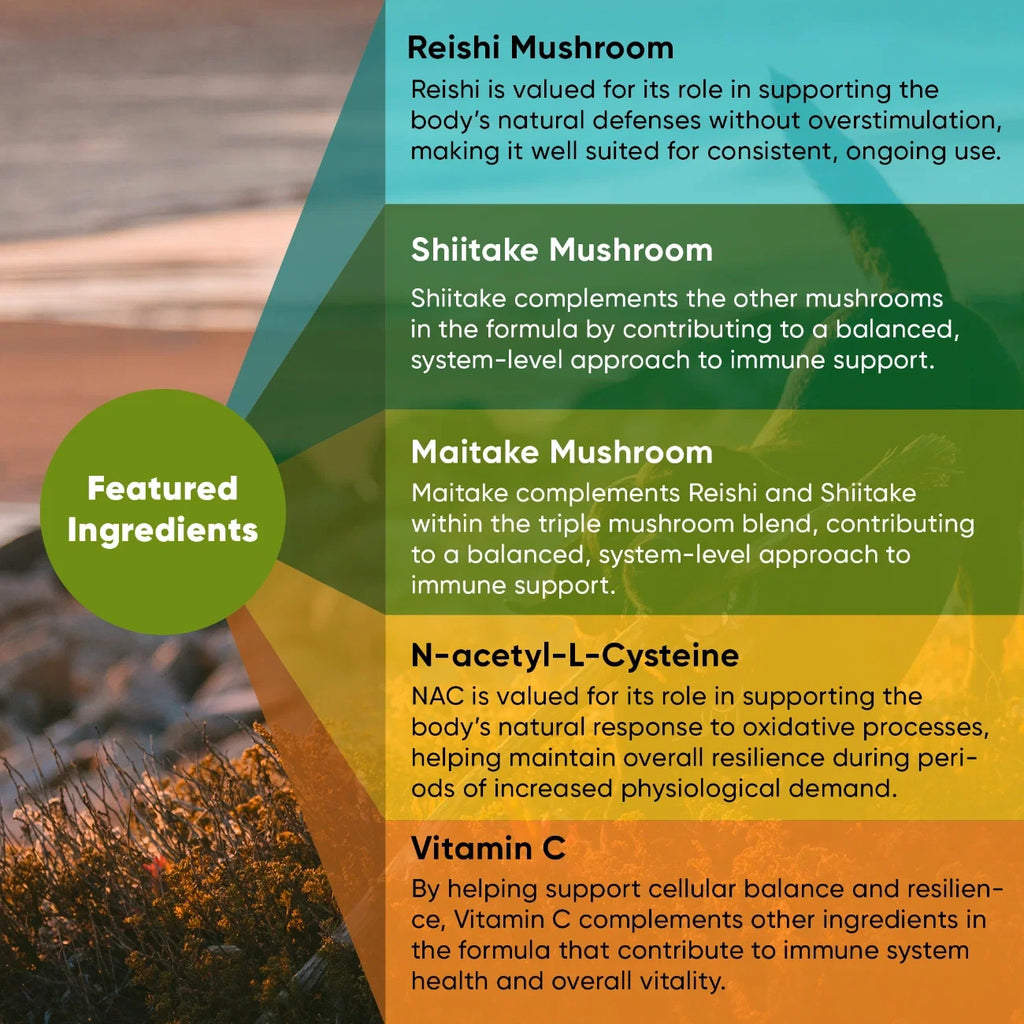 The Mushroom Immunity Blend