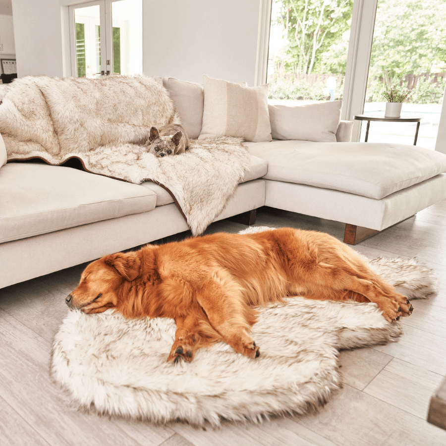 PupRug® Faux Fur Orthopedic Dog Bed | Curve White with Brown Accents