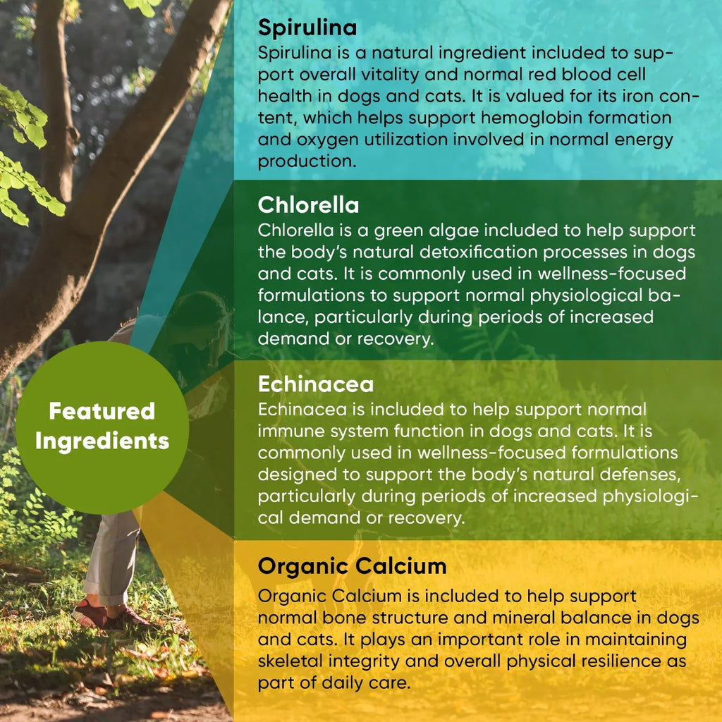 The Spirulina & Chlorella Blend