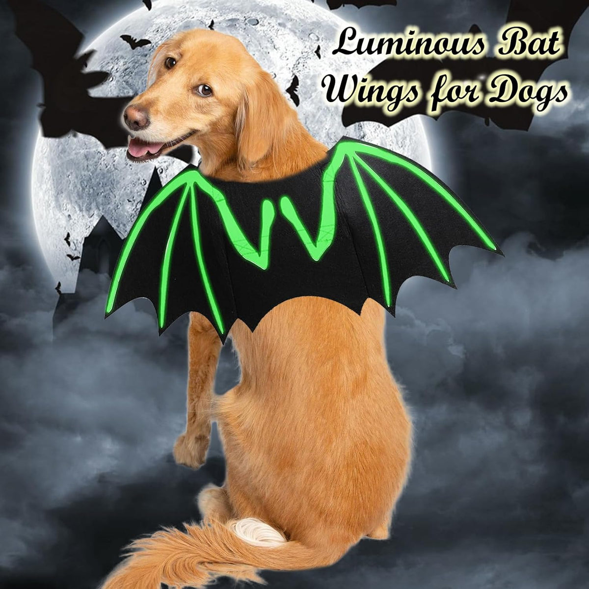Luminous Bat Wing Halloween Costume for Dogs & Cats