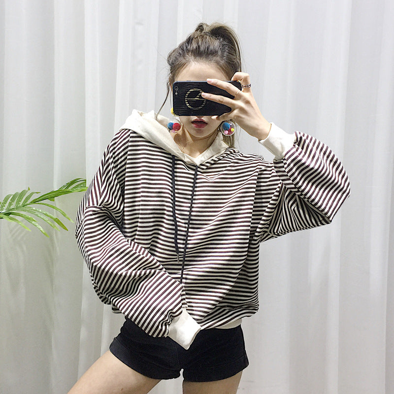 Terry Crewneck Sweater — Matching Pet & Owner Set