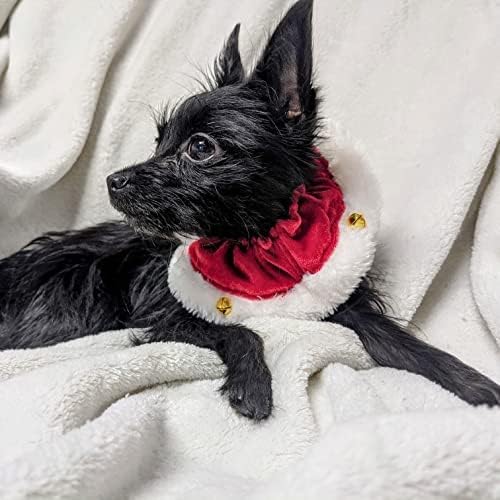 Santa Ruff Pet Scrunchy | Medium