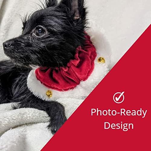 Santa Ruff Pet Scrunchy | Medium