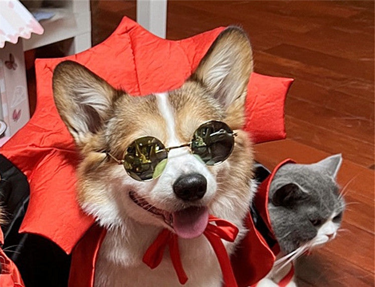 Vampire King Halloween Cape for Cats & Dogs