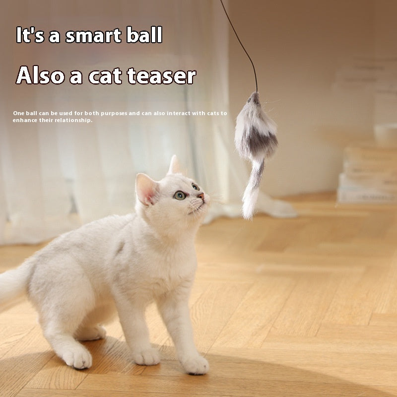 Gravity-Sensing Mouse Teaser Ball | Automatic Rolling Cat Toy | Electric Interactive Pet Toy