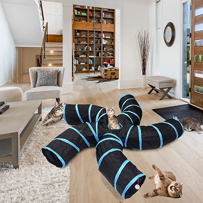 The Flauntly Paws Play Tunnel — Interactive Cat Tunnel Toy for Cats & Kittens