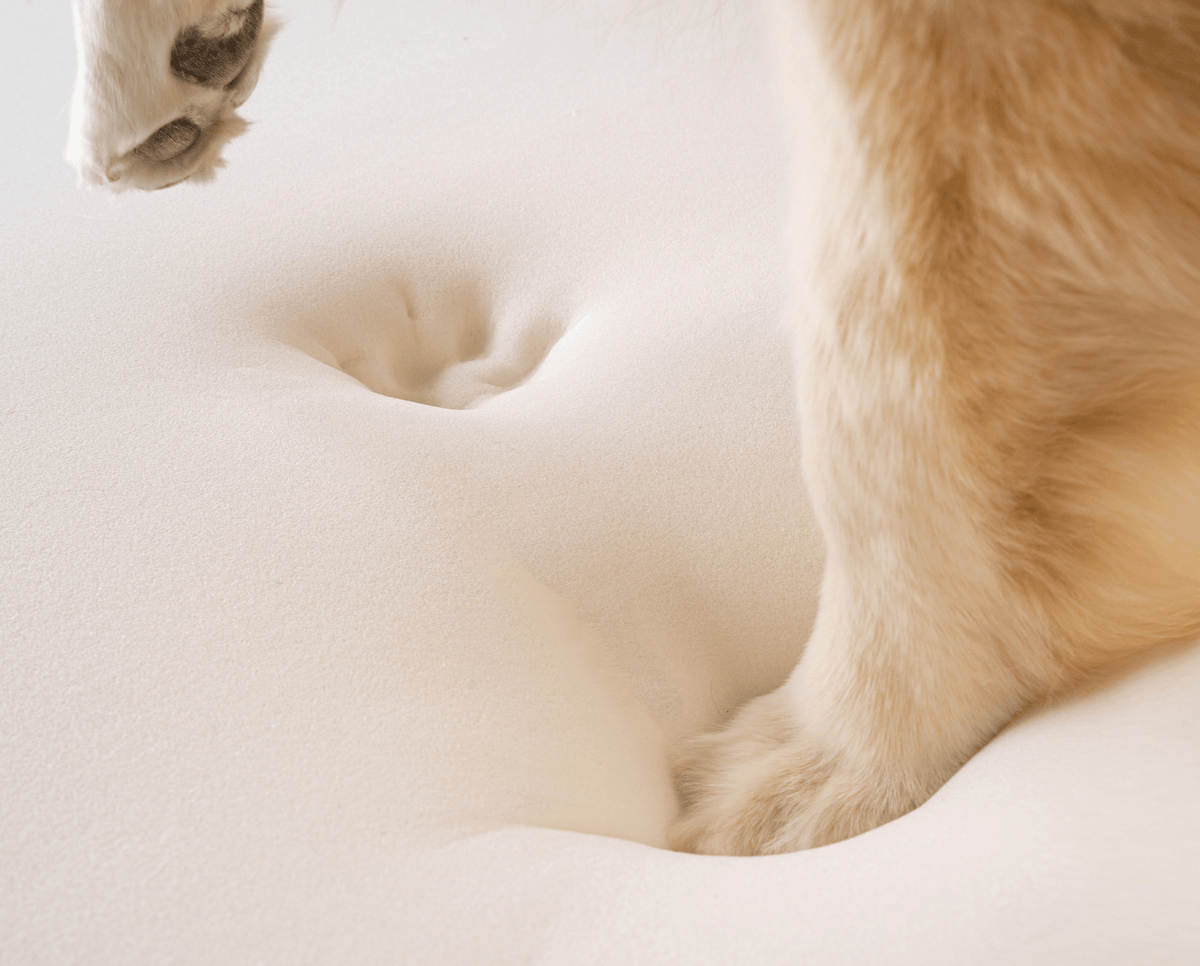 PupRug® Faux Fur Orthopedic Dog Bed | Curve White with Brown Accents