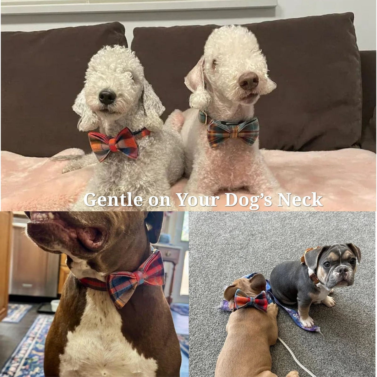 Midnight Copper Plaid Dog Matching Set – Engravable Collar, Harness, Leash & Bowtie