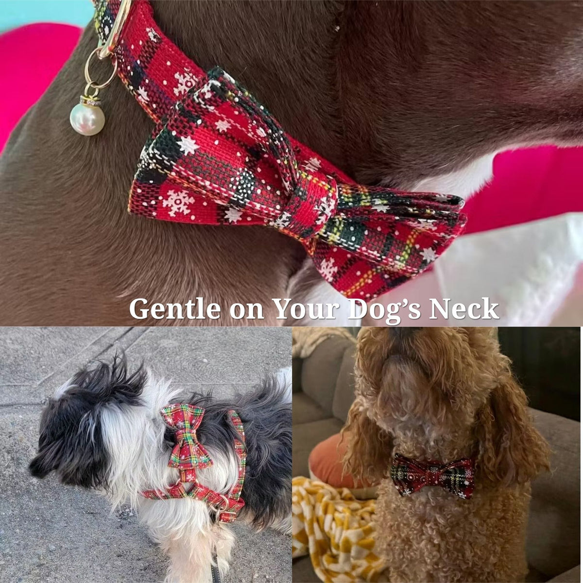 Personalized Christmas Plaid Dog Walking Set