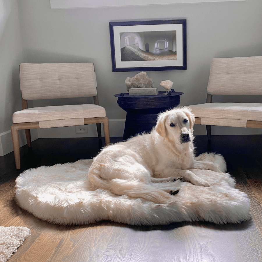 PupRug® Faux Fur Orthopedic Dog Bed | Curve White with Brown Accents