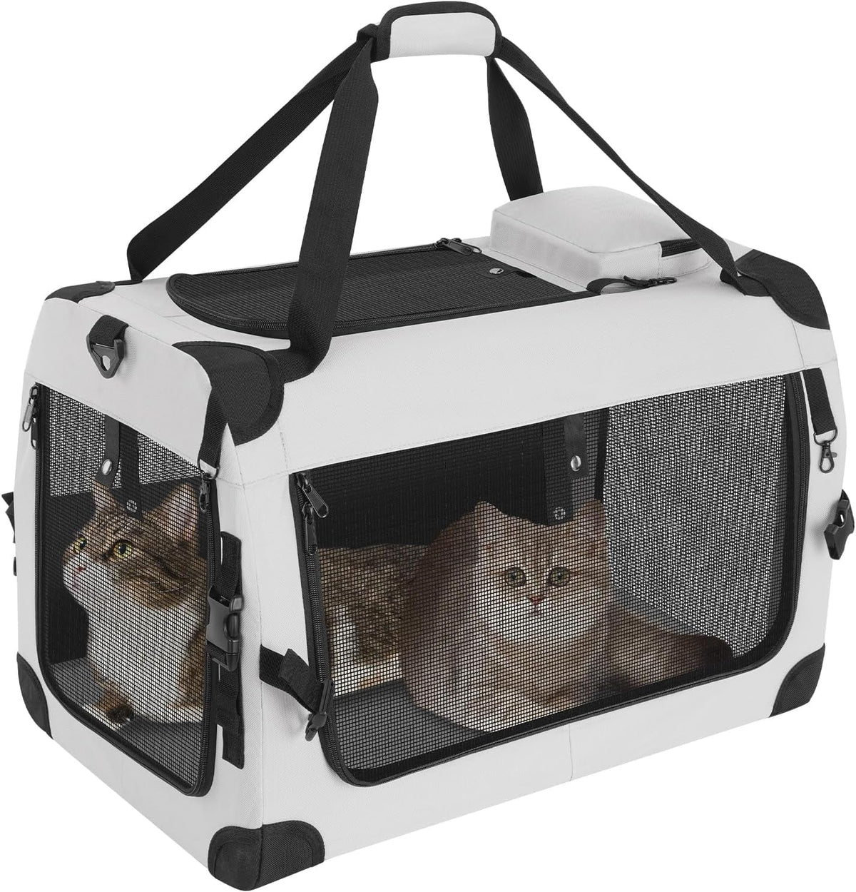 Luxury Soft-Sided Cat Carrier for Two | Removable Divider | Up to 55 lbs