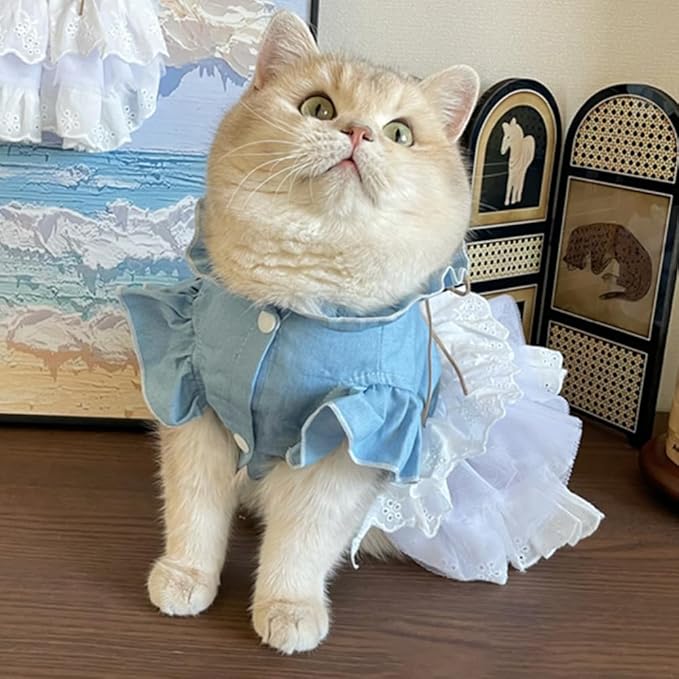 Retro Denim Dog & Cat Dress | Flared Sleeves & Layered Cake Skirt for Small Breeds