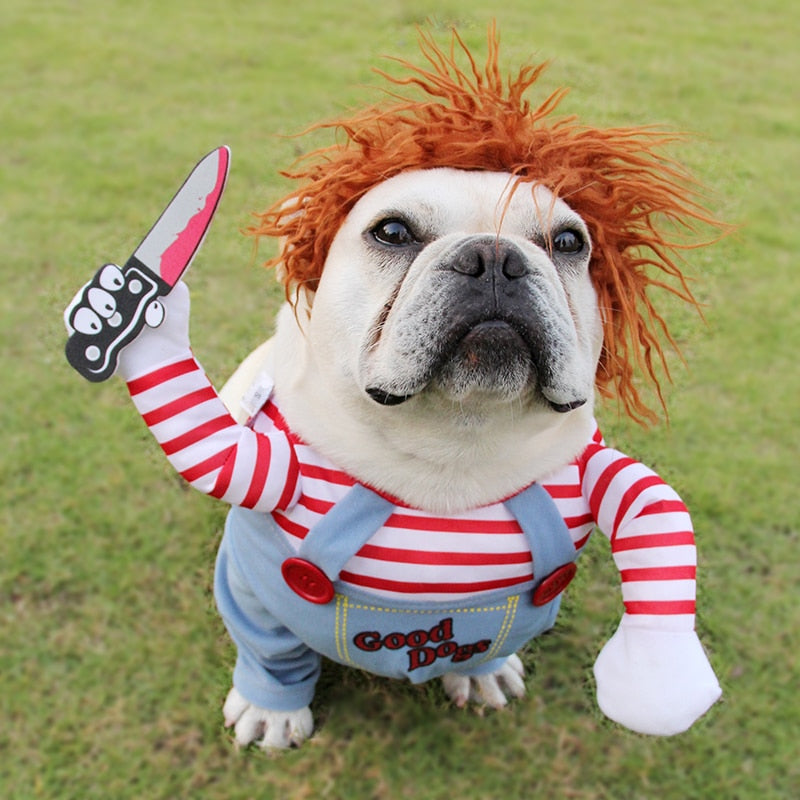 Rider & Doll Halloween Dog Costume — Cowboy Horseman or Chucky-Style