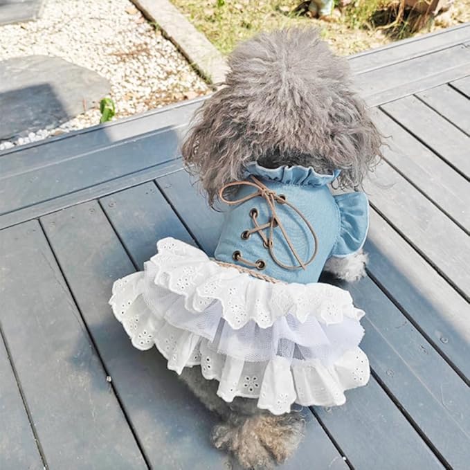 Retro Denim Dog & Cat Dress | Flared Sleeves & Layered Cake Skirt for Small Breeds