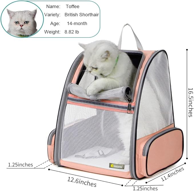 Bubble Window Pet Carrier Backpack | Cats & Dogs up to 18 lbs | Mesh Pink