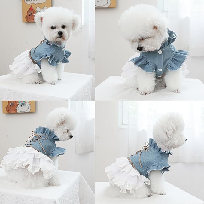 Retro Denim Dog & Cat Dress | Flared Sleeves & Layered Cake Skirt for Small Breeds