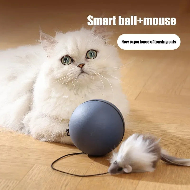 Gravity-Sensing Mouse Teaser Ball | Automatic Rolling Cat Toy | Electric Interactive Pet Toy
