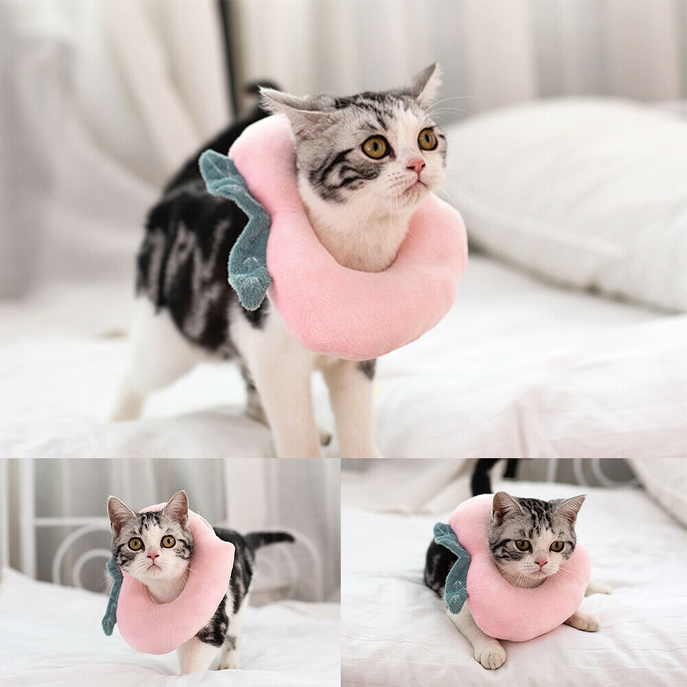 The Flauntly Paws Recovery Collar — Soft Elizabethan Cone for Cats & Kittens
