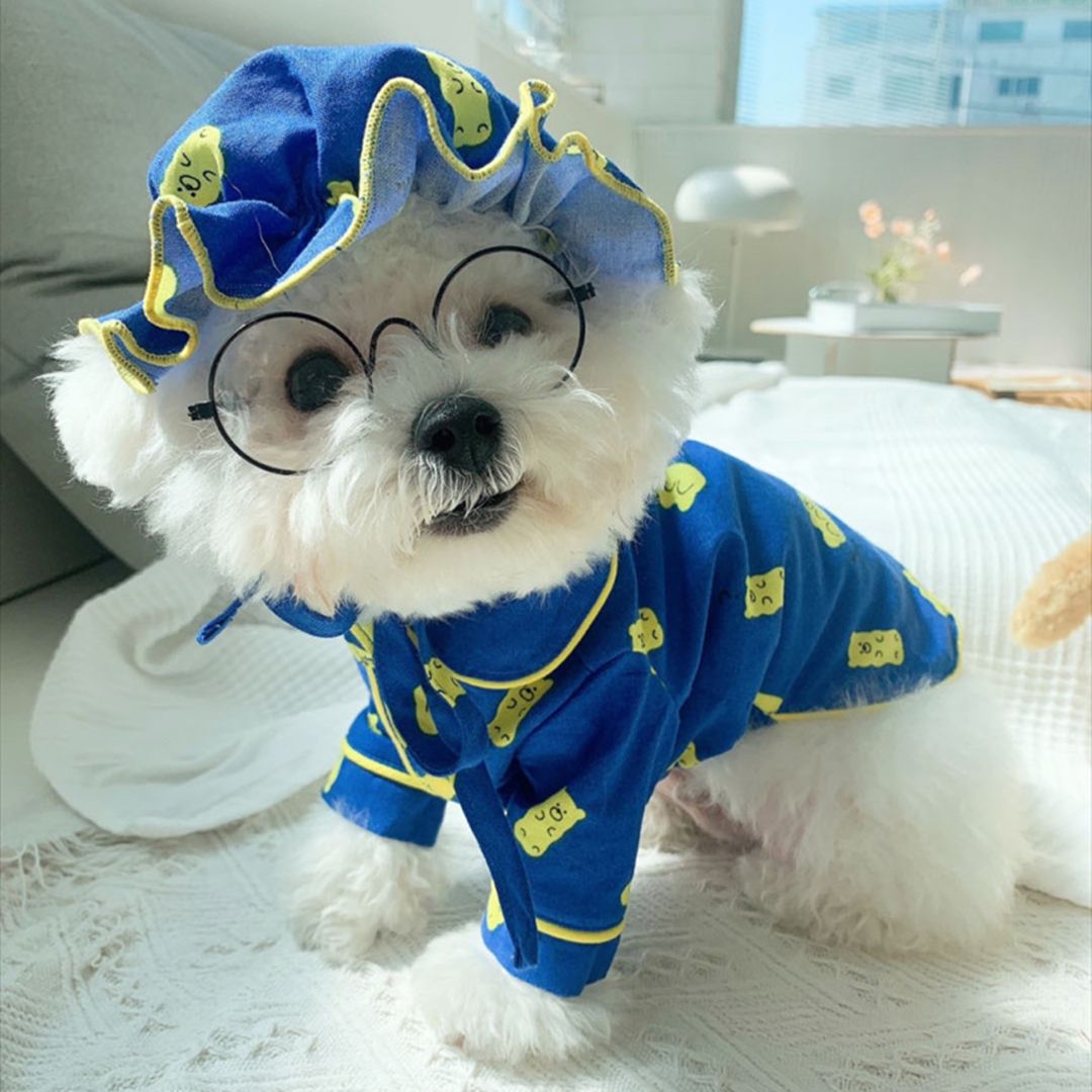 Candy Bear Pet Pajama Set with Hat