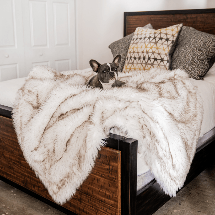 PupProtector™ Waterproof Throw Blanket | White with Brown Accents