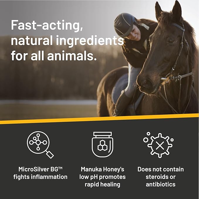 Silver Honey Rapid Wound Repair Ointment | Manuka Honey & MicroSilver | 2oz