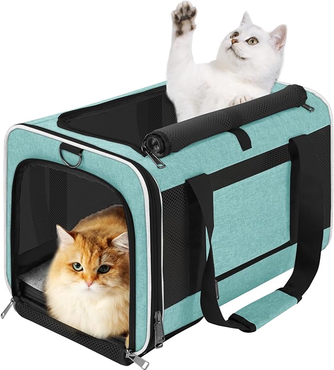 Soft-Sided Pet Travel Carrier | Up to 20 lbs | 5-Sided Mesh Ventilation | Turquoise