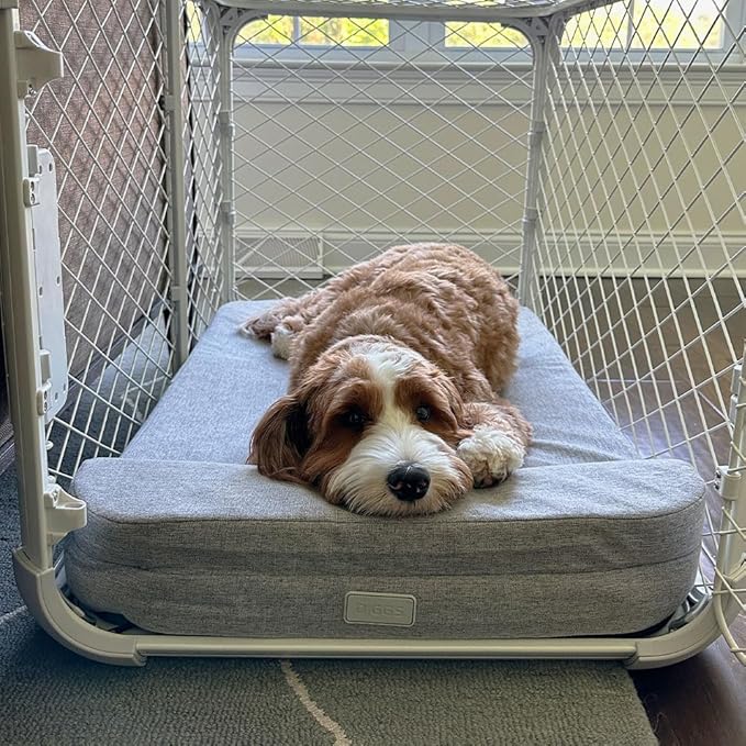 Diggs Bolstr Orthopedic Dog Crate Bed | Memory Foam + Bolster Headrest | Machine Washable | Small