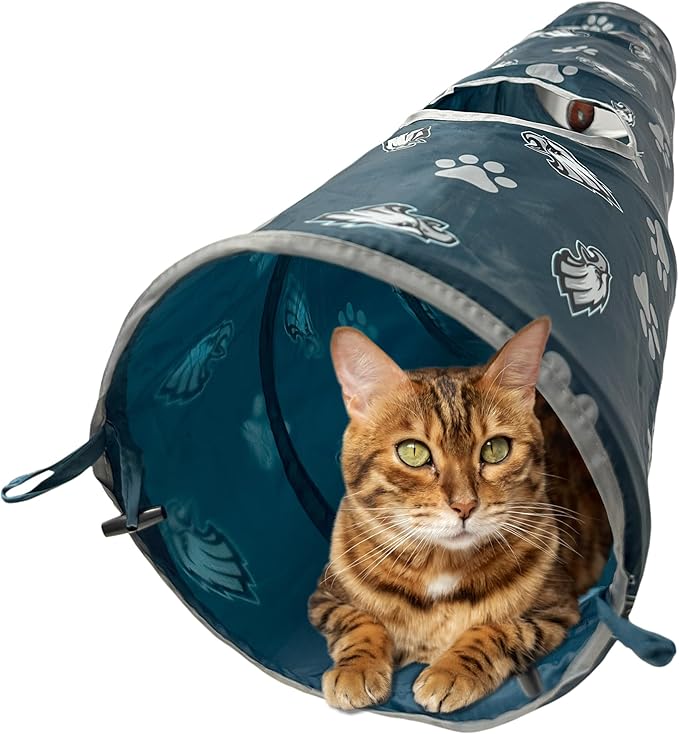 Philadelphia Eagles NFL Cat Tunnel with Catnip Football