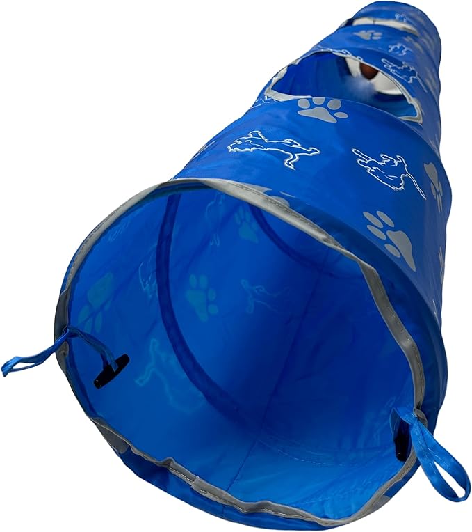 Detroit Lions NFL Cat Tunnel with Catnip Football
