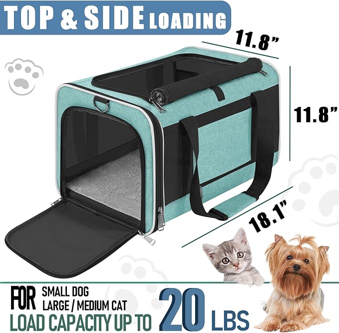 Soft-Sided Pet Travel Carrier | Up to 20 lbs | 5-Sided Mesh Ventilation | Turquoise